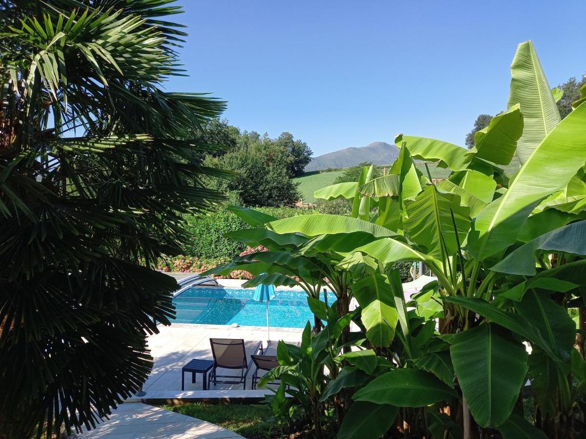 Goxoki Avec Piscine Jean Pied De Port